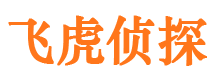 容县市侦探调查公司